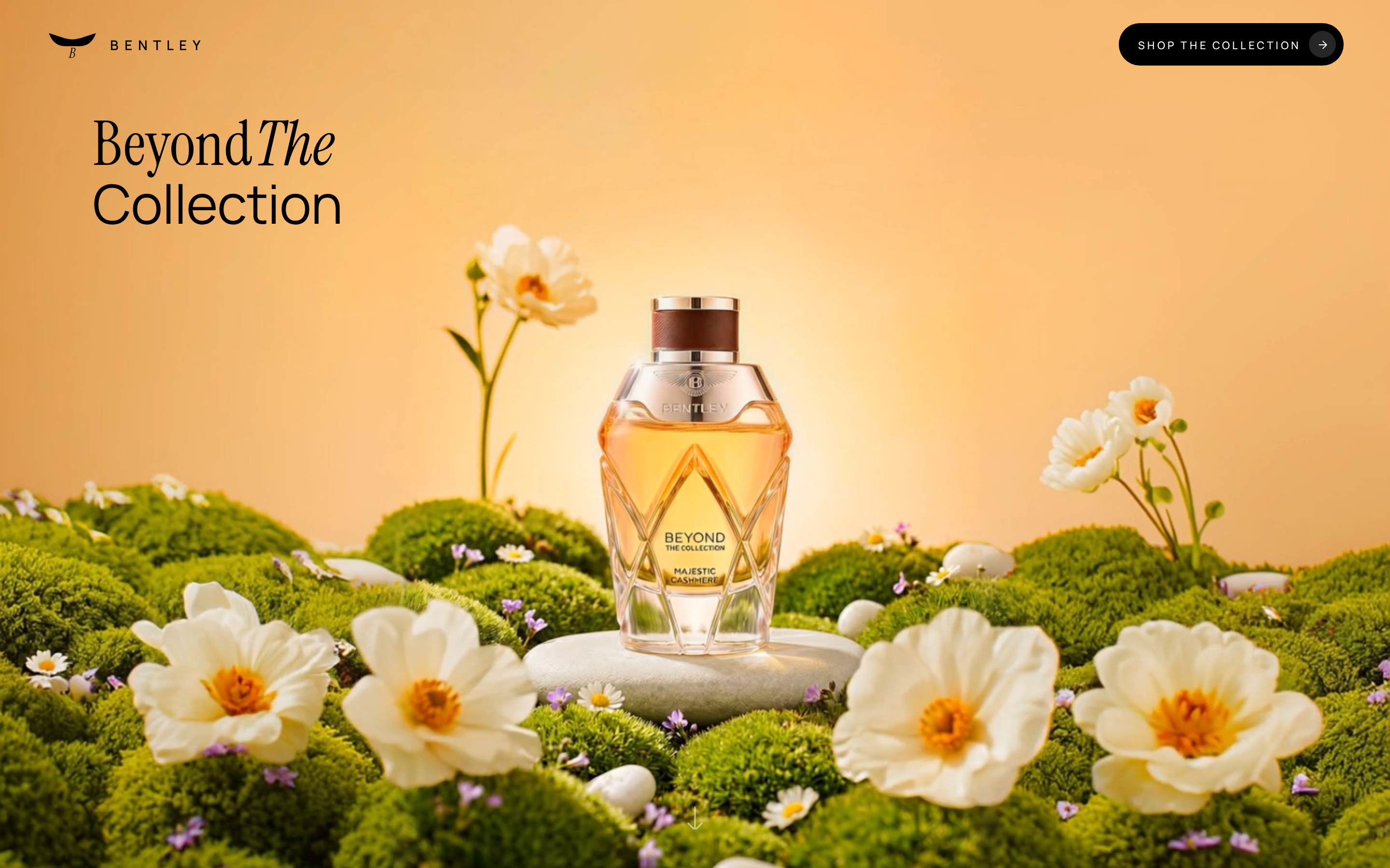 Luxury Botanical — Beyond The Collection preview